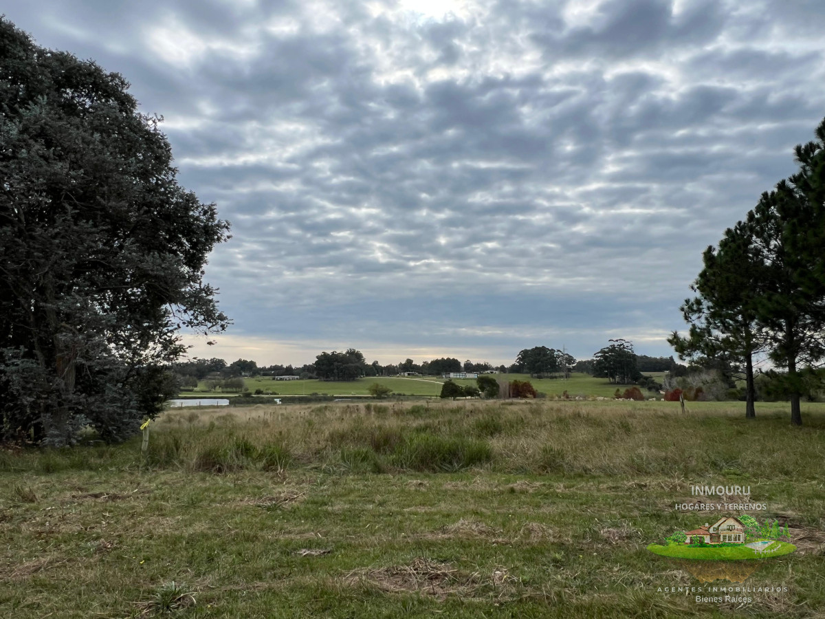 Chacra ID.983 - CHACRA EN EL QUIJOTE