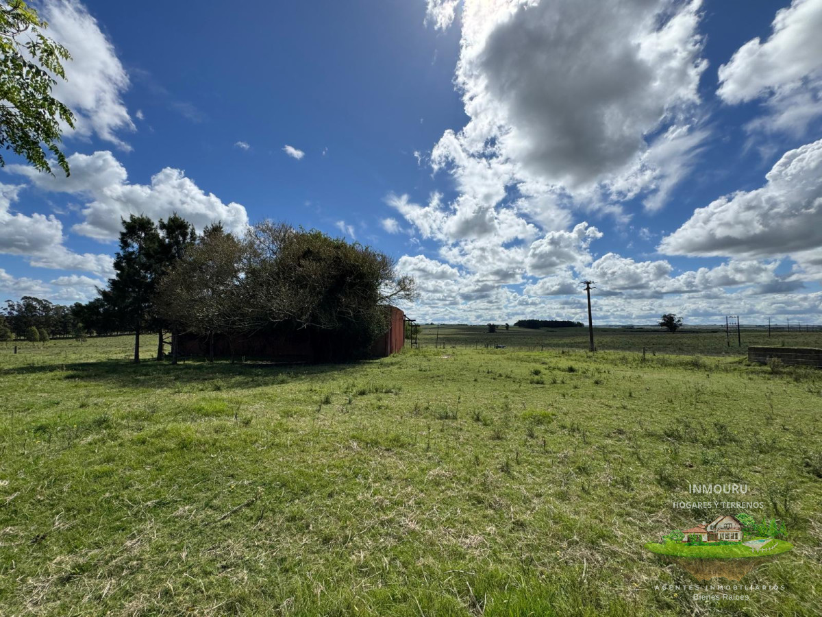 Campo Ref.981 - VENTA DE CHACRA  81 HECTÁREAS EN CAMINO A PUEBLO GARZÓN