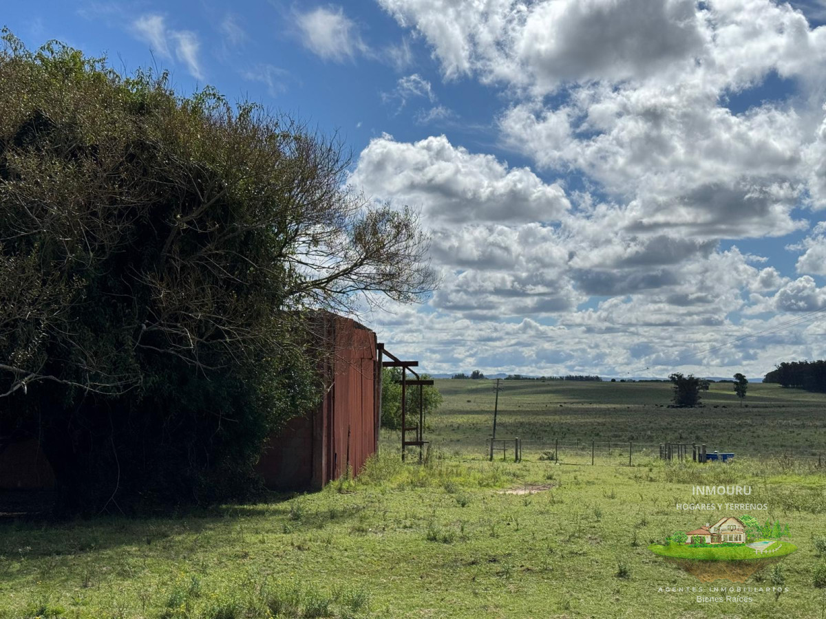 Campo Ref.981 - VENTA DE CHACRA  81 HECTÁREAS EN CAMINO A PUEBLO GARZÓN