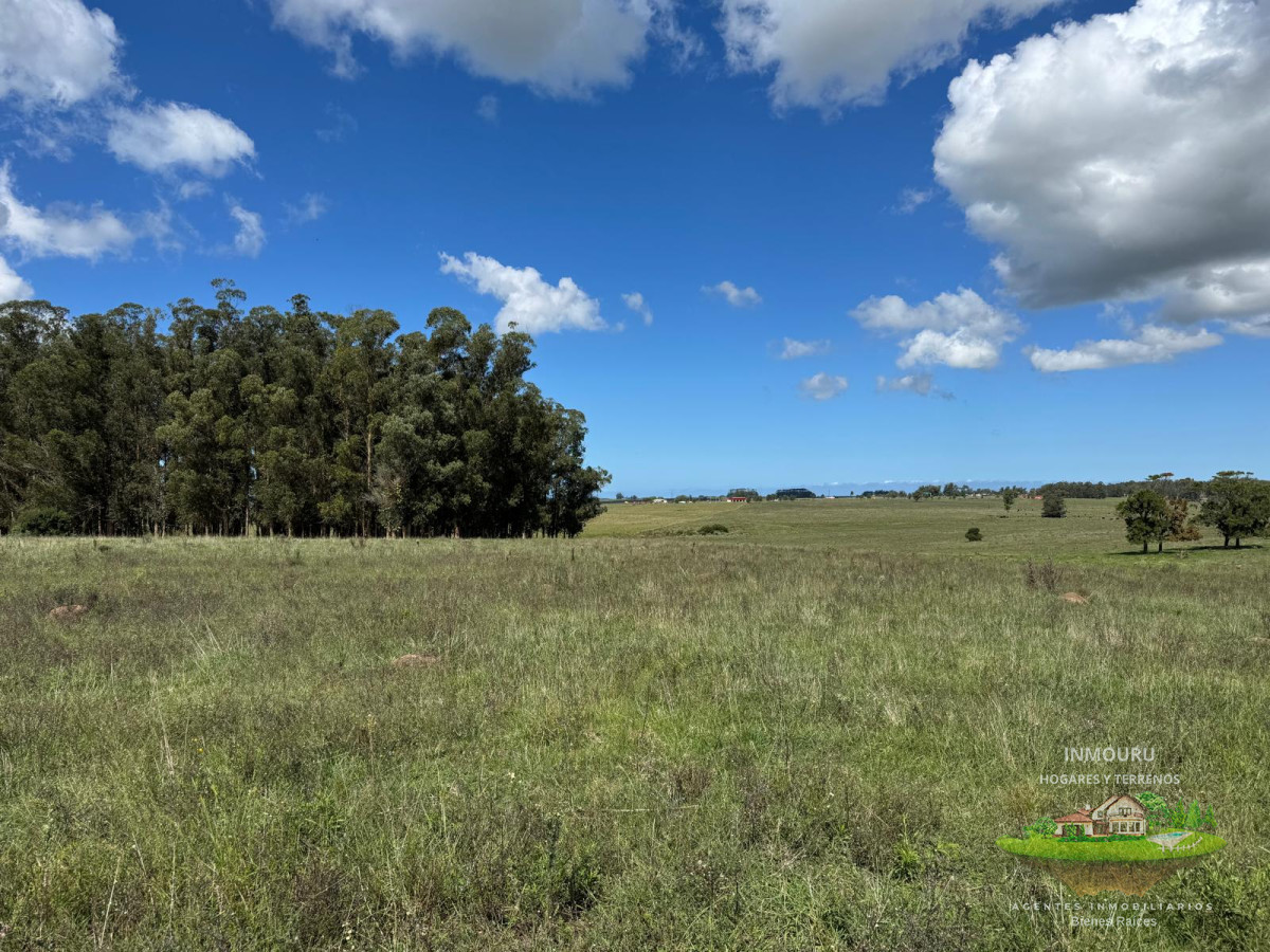 Campo Ref.981 - VENTA DE CHACRA  81 HECTÁREAS EN CAMINO A PUEBLO GARZÓN