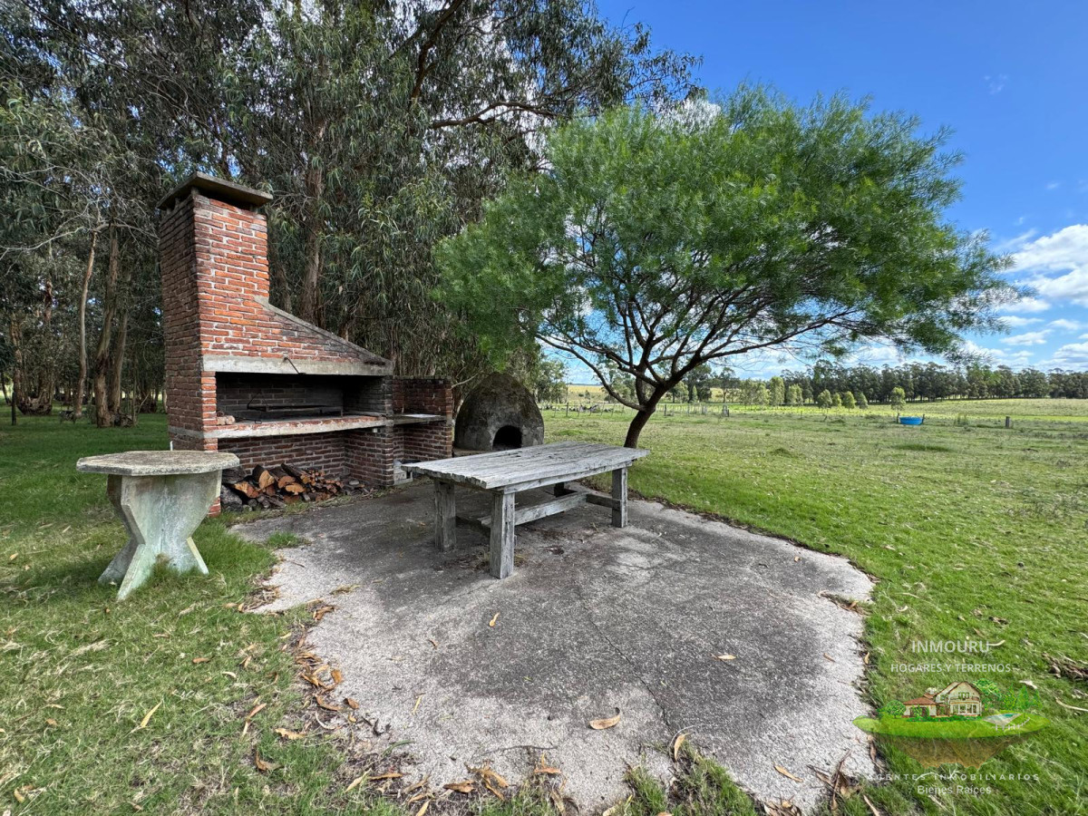 Campo Ref.981 - VENTA DE CHACRA  81 HECTÁREAS EN CAMINO A PUEBLO GARZÓN