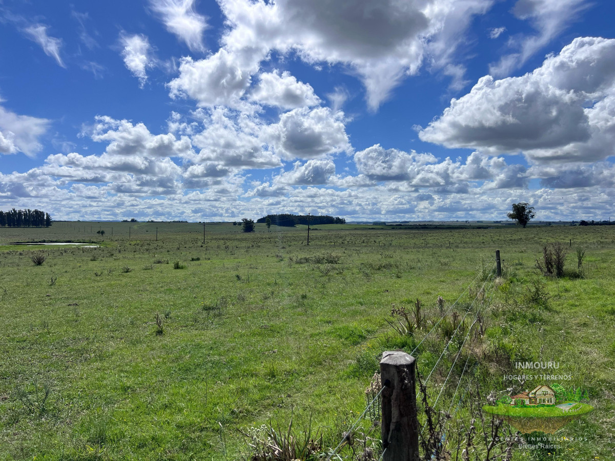 Campo Ref.981 - VENTA DE CHACRA  81 HECTÁREAS EN CAMINO A PUEBLO GARZÓN
