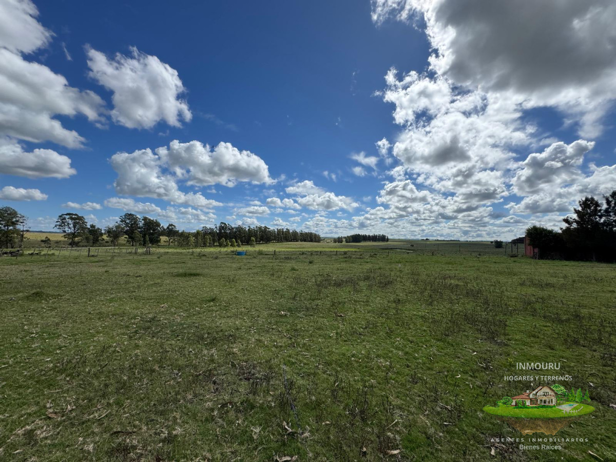 Campo Ref.981 - VENTA DE CHACRA  81 HECTÁREAS EN CAMINO A PUEBLO GARZÓN