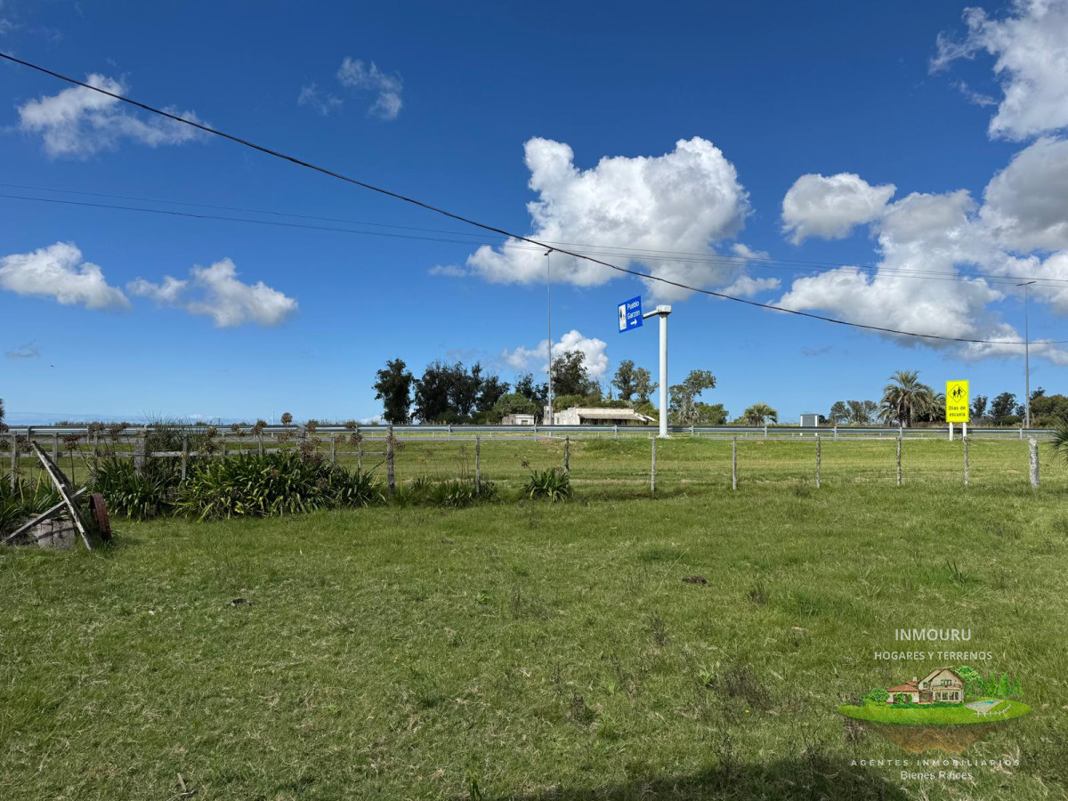 Campo Ref.981 - VENTA DE CHACRA  81 HECTÁREAS EN CAMINO A PUEBLO GARZÓN
