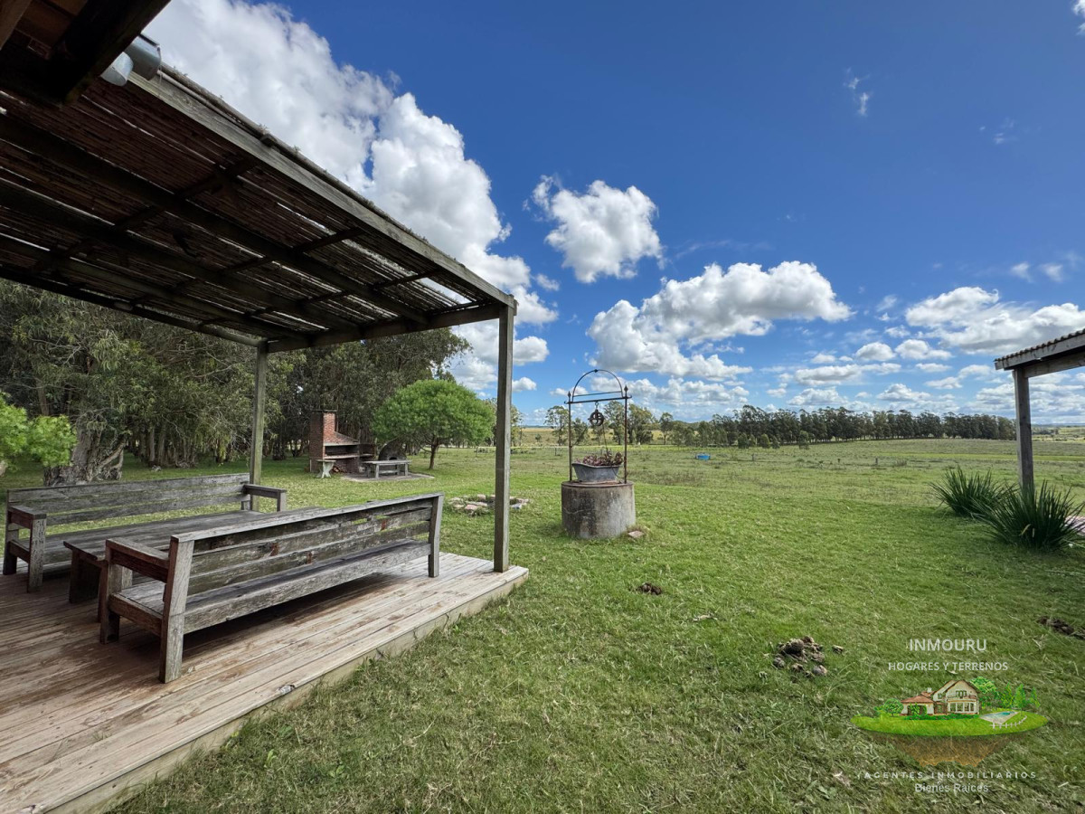 Campo Ref.981 - VENTA DE CHACRA  81 HECTÁREAS EN CAMINO A PUEBLO GARZÓN
