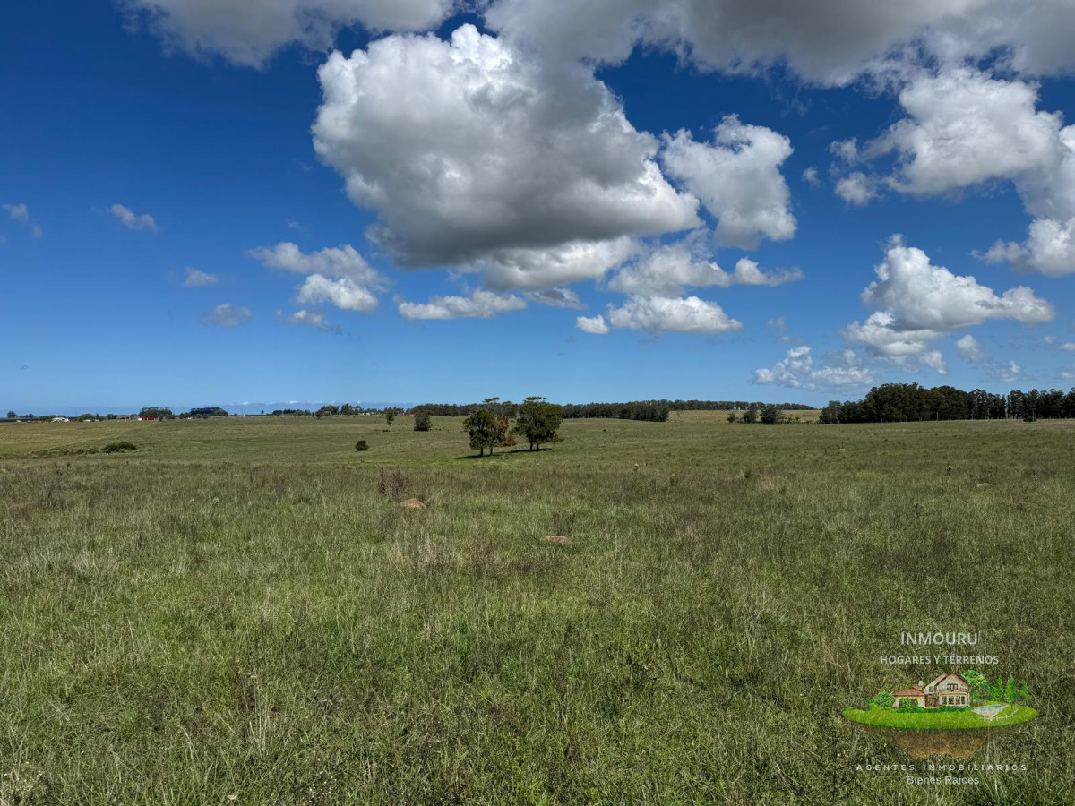 Campo Ref.981 - VENTA DE CHACRA  81 HECTÁREAS EN CAMINO A PUEBLO GARZÓN