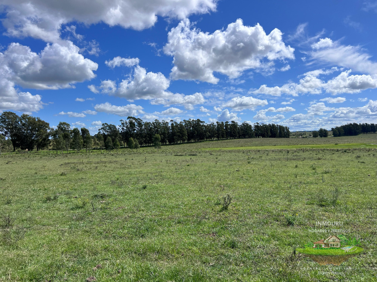 Campo Ref.981 - VENTA DE CHACRA  81 HECTÁREAS EN CAMINO A PUEBLO GARZÓN