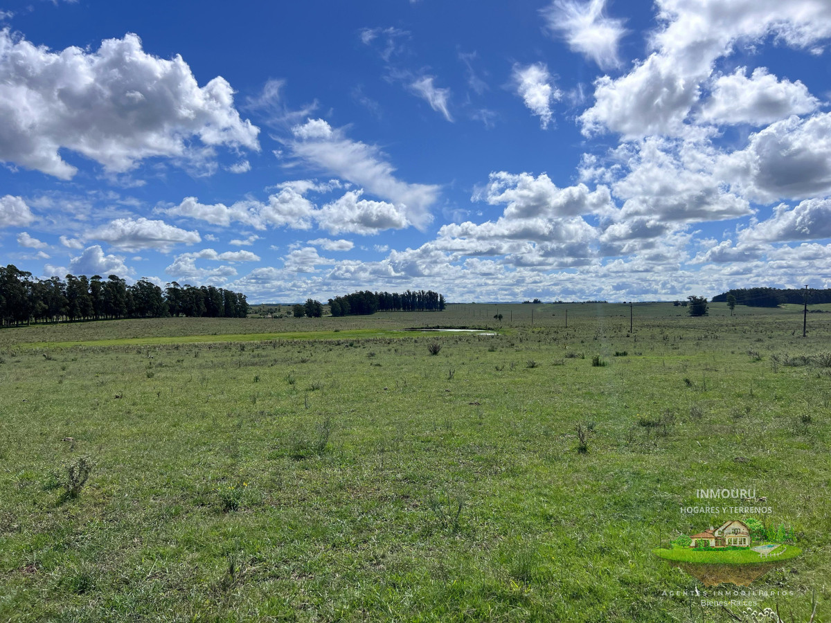 Campo Ref.981 - VENTA DE CHACRA  81 HECTÁREAS EN CAMINO A PUEBLO GARZÓN