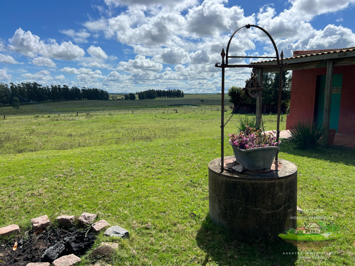 Campo Ref.981 - VENTA DE CHACRA  81 HECTÁREAS EN CAMINO A PUEBLO GARZÓN