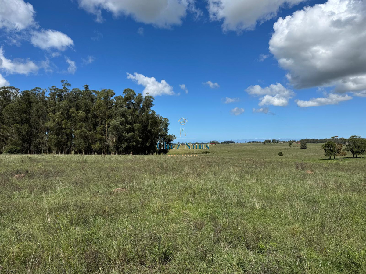 Campo Ref.2113 - VENTA DE CHACRA – 81 HECTÁREAS EN CAMINO A PUEBLO GARZÓN
