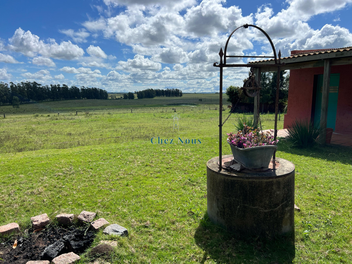 Campo Ref.2113 - VENTA DE CHACRA – 81 HECTÁREAS EN CAMINO A PUEBLO GARZÓN