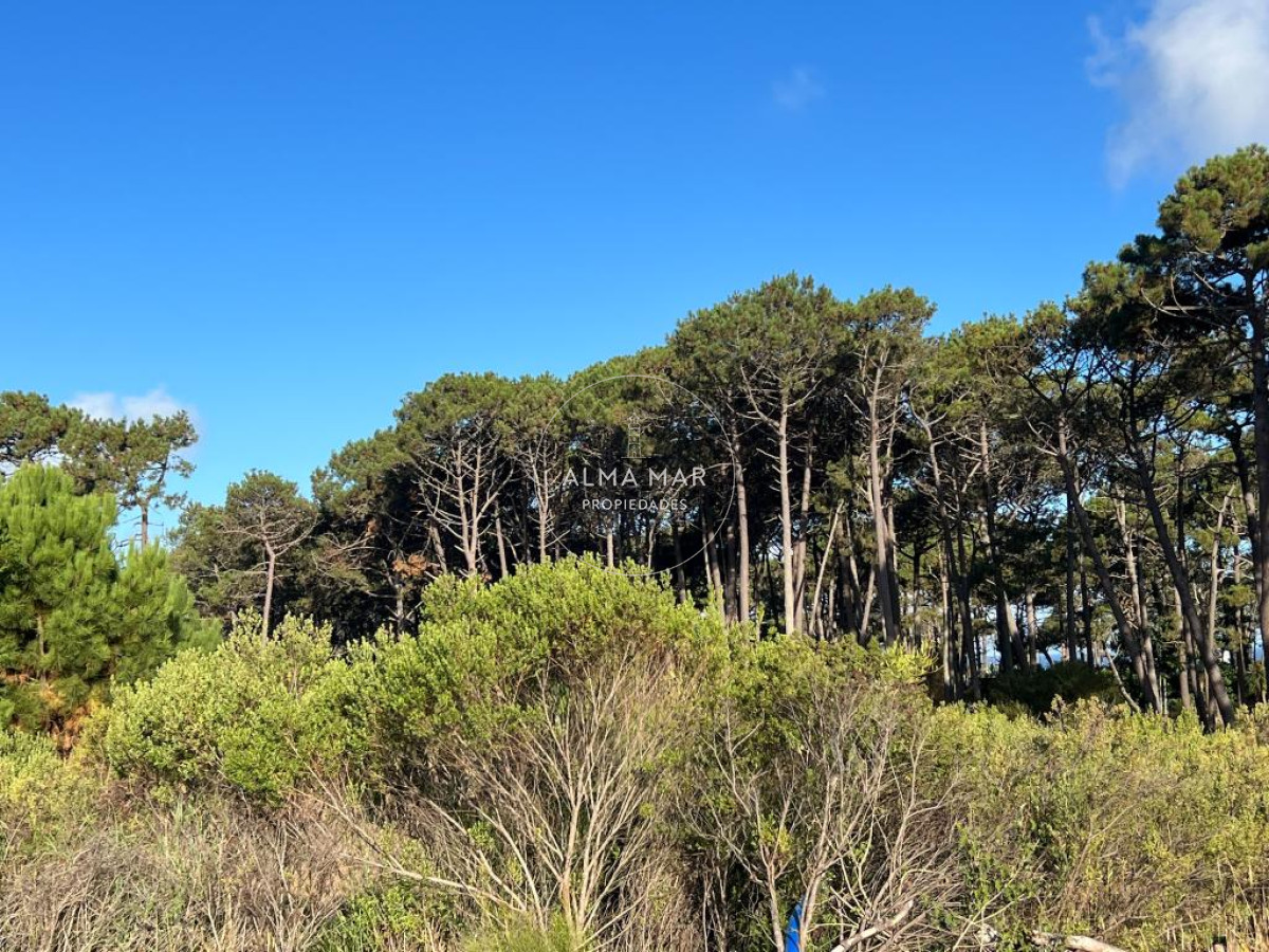 Terreno ID.541 - Terreno de 1000m2 en Reserva Montoya