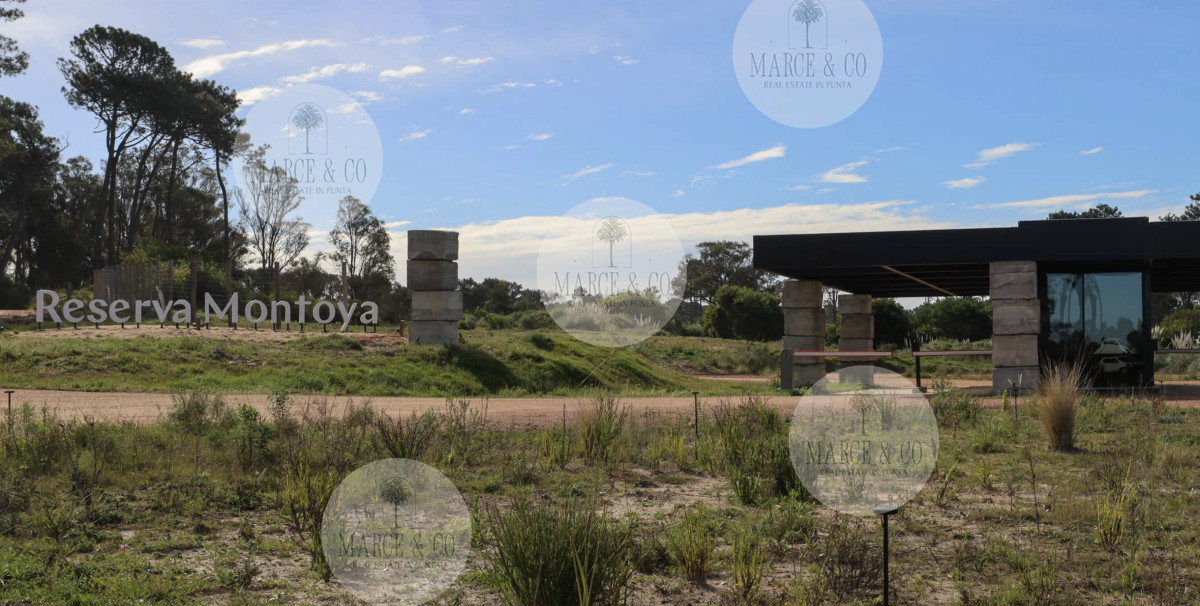 Terreno ID.2624 - Reserva Montoya Lote 311