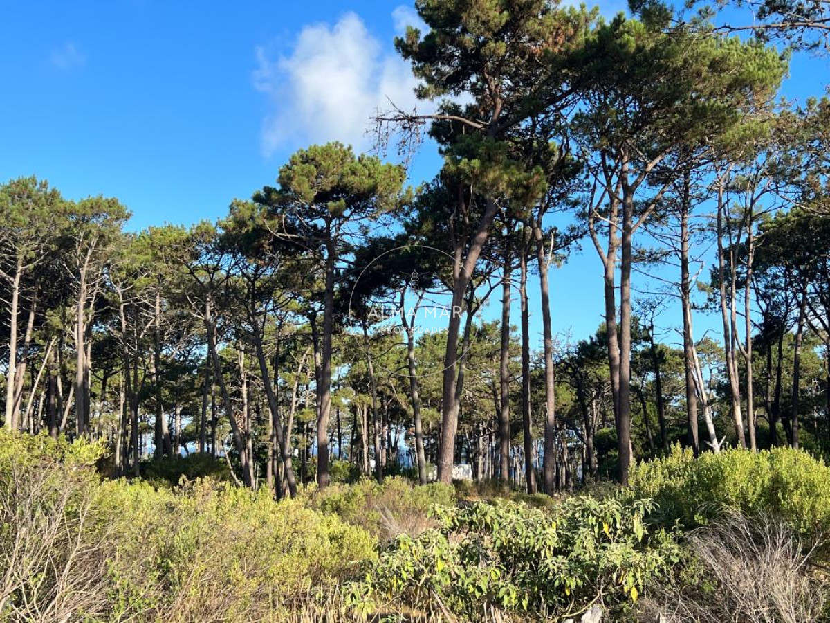 Terreno ID.541 - Terreno de 1000m2 en Reserva Montoya