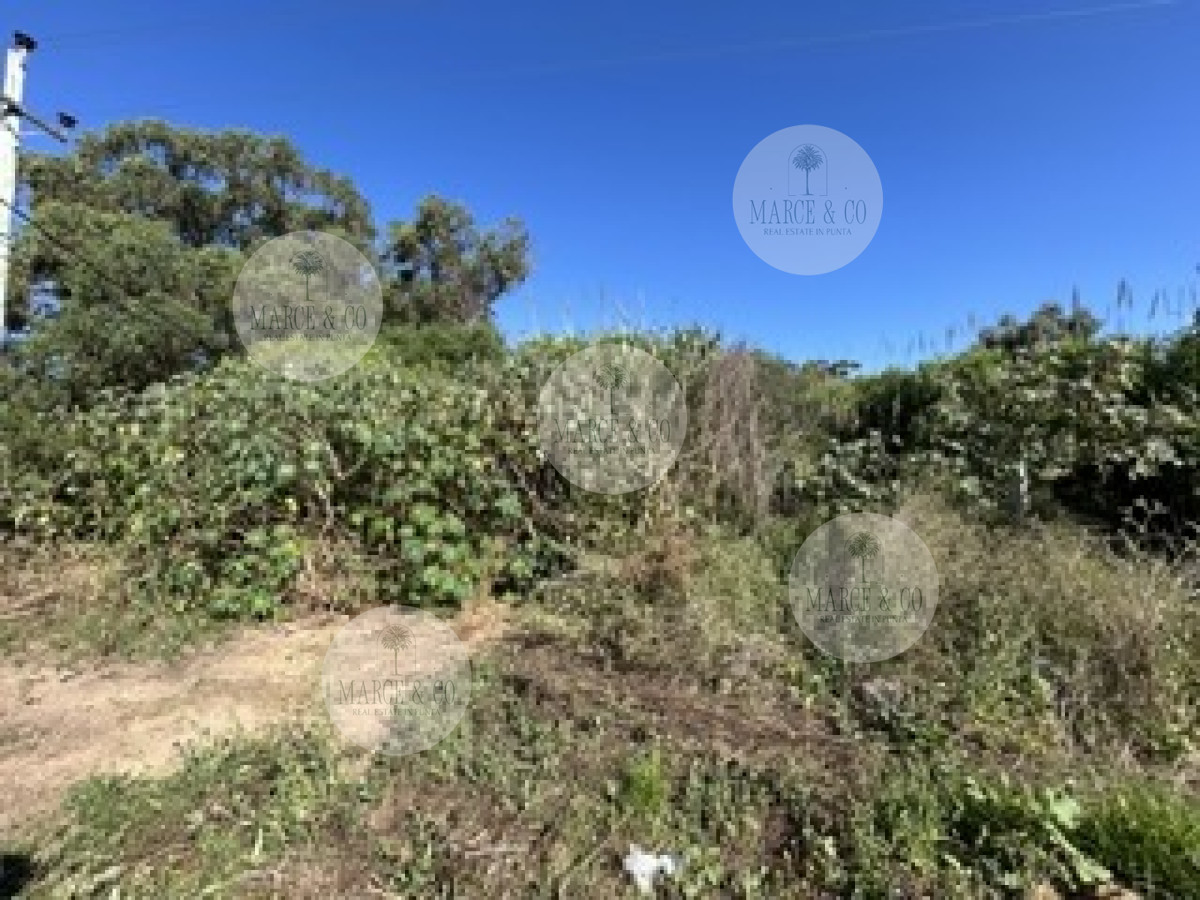 Terreno ID.2612 - TERRENO EN VENTA, EL TESORO