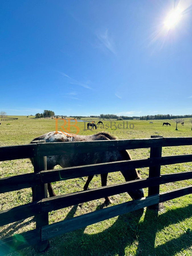 Terreno ID.103 - Espectacular Lote en Venta en Pueblo Mio
