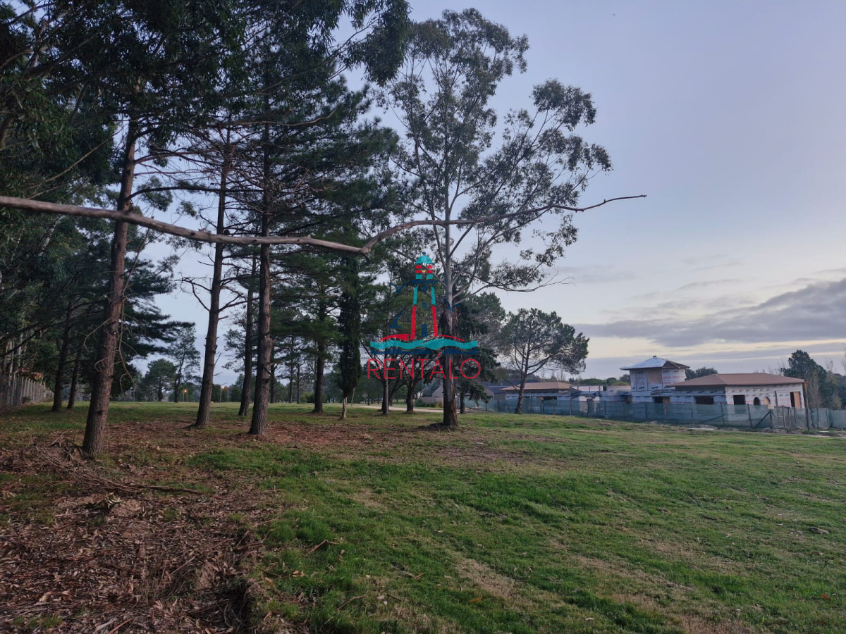 Terreno ID.278 - TERRENO EN DON MIGUEL