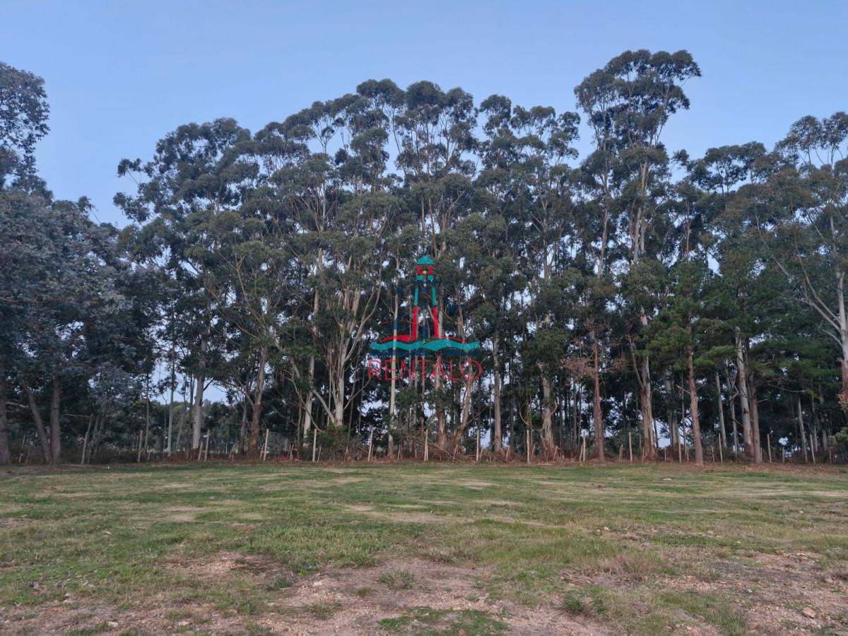 Terreno ID.278 - TERRENO EN DON MIGUEL