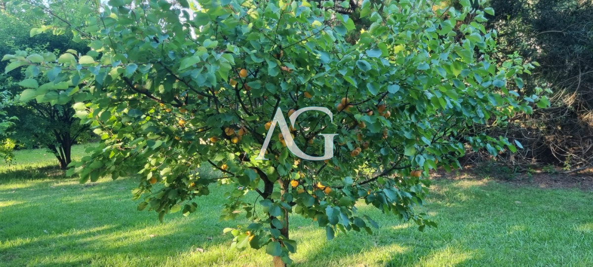 Chacra ID.297 - Chacra soñada en José Ignacio 