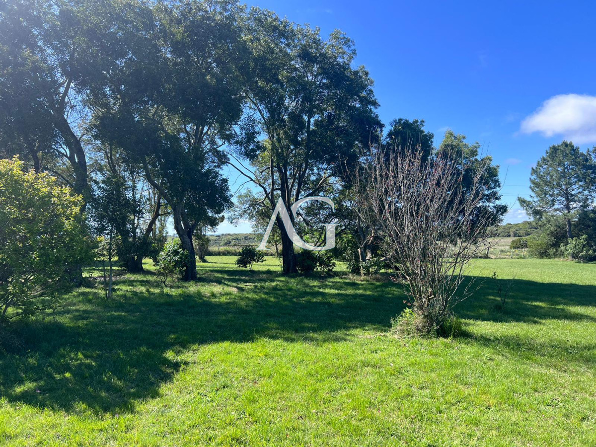 Chacra ID.297 - Chacra soñada en José Ignacio 