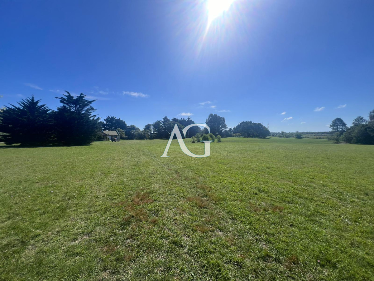 Chacra ID.297 - Chacra soñada en José Ignacio 