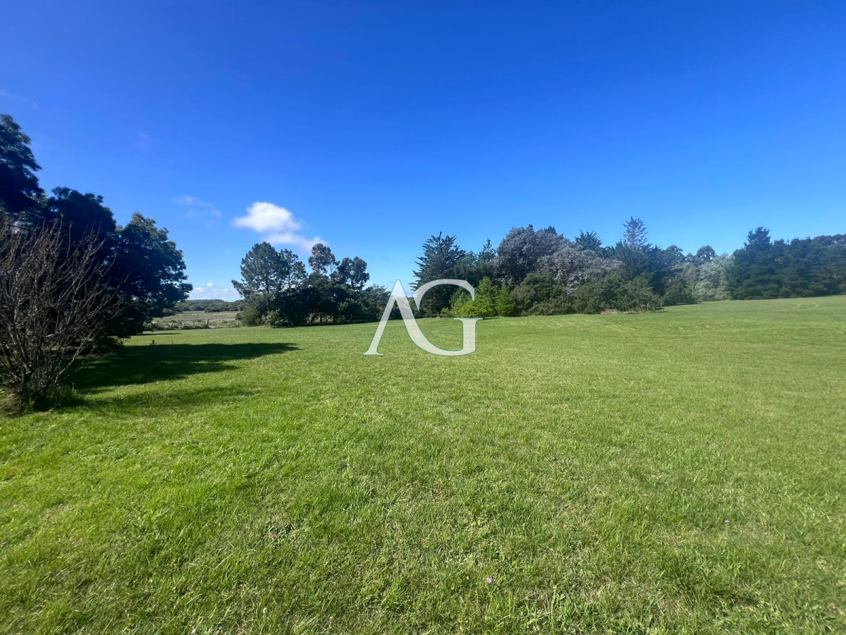 Chacra ID.297 - Chacra soñada en José Ignacio 