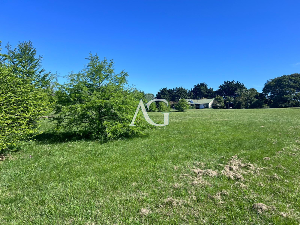 Chacra ID.297 - Chacra soñada en José Ignacio 