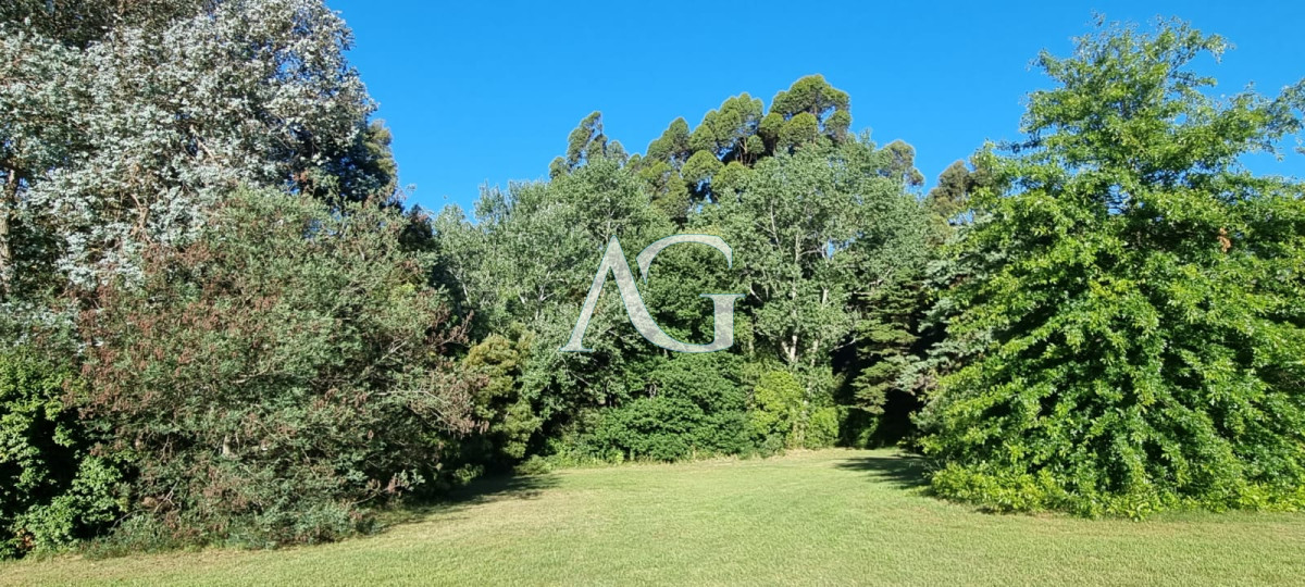 Chacra ID.297 - Chacra soñada en José Ignacio 