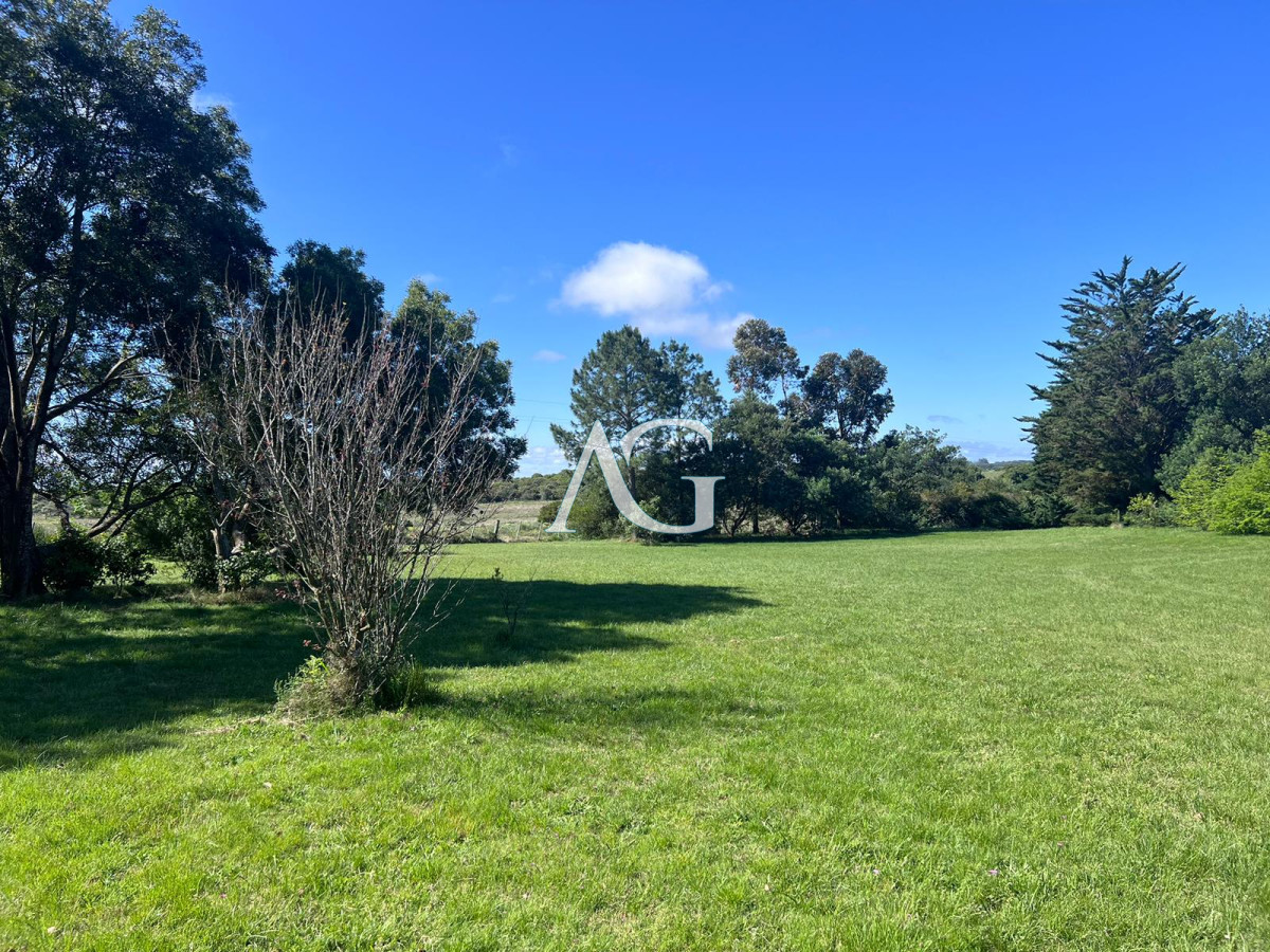 Chacra ID.297 - Chacra soñada en José Ignacio 