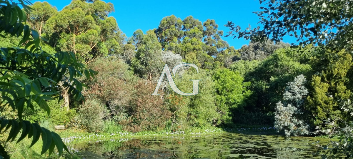 Chacra ID.297 - Chacra soñada en José Ignacio 