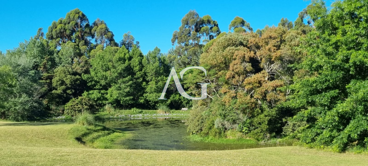 Chacra ID.297 - Chacra soñada en José Ignacio 