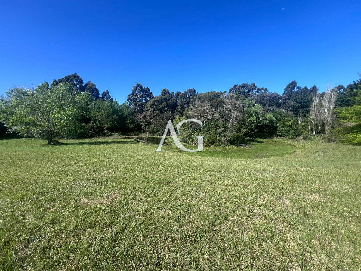 Chacra ID.297 - Chacra soñada en José Ignacio 