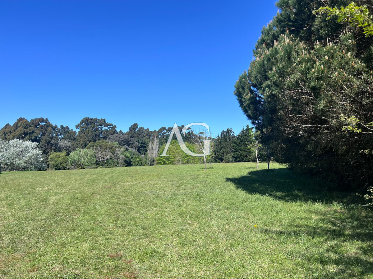 Chacra ID.297 - Chacra soñada en José Ignacio 