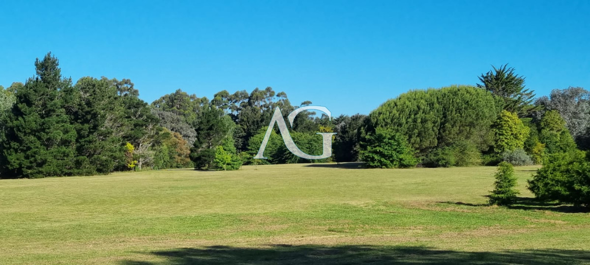 Chacra ID.297 - Chacra soñada en José Ignacio 