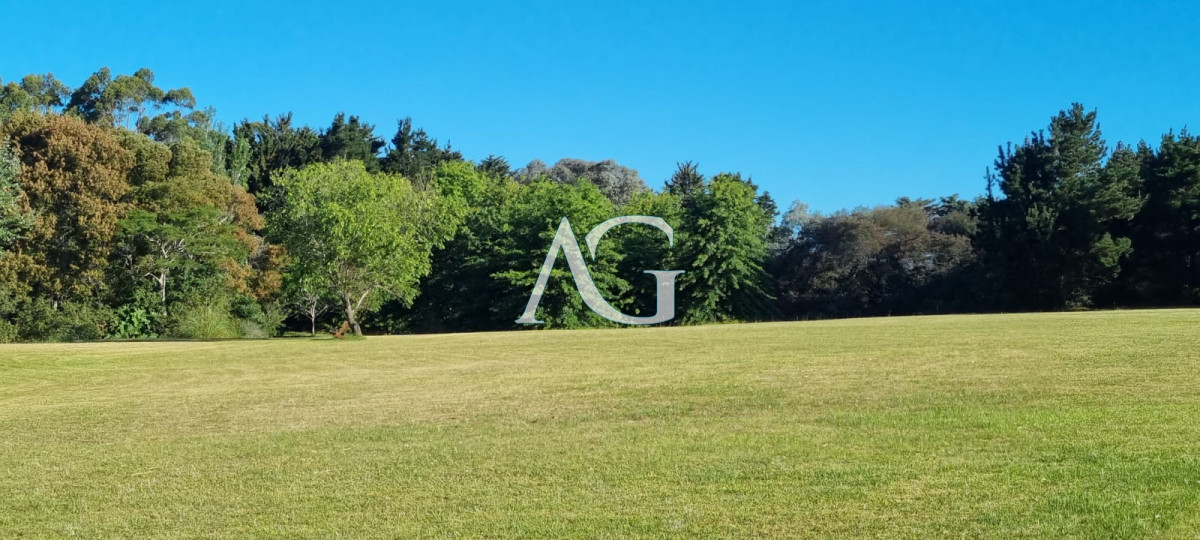 Chacra ID.297 - Chacra soñada en José Ignacio 