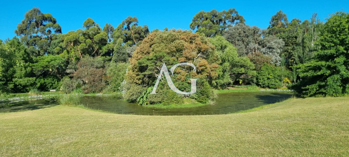 Chacra ID.297 - Chacra soñada en José Ignacio 