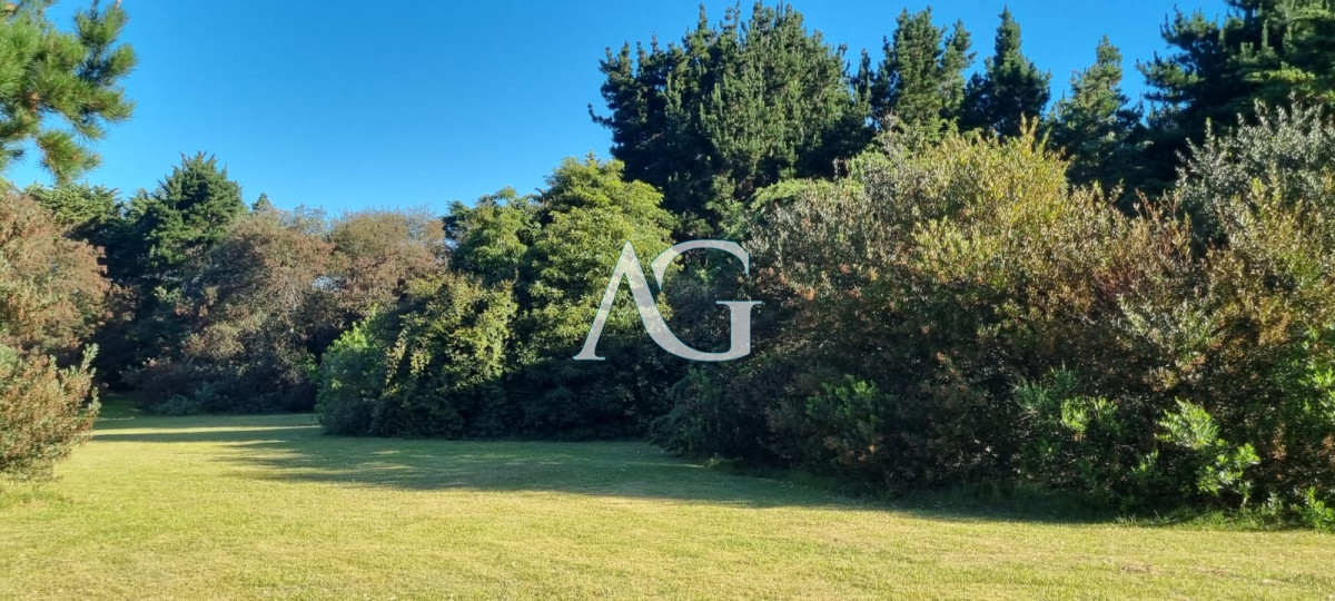 Chacra ID.297 - Chacra soñada en José Ignacio 