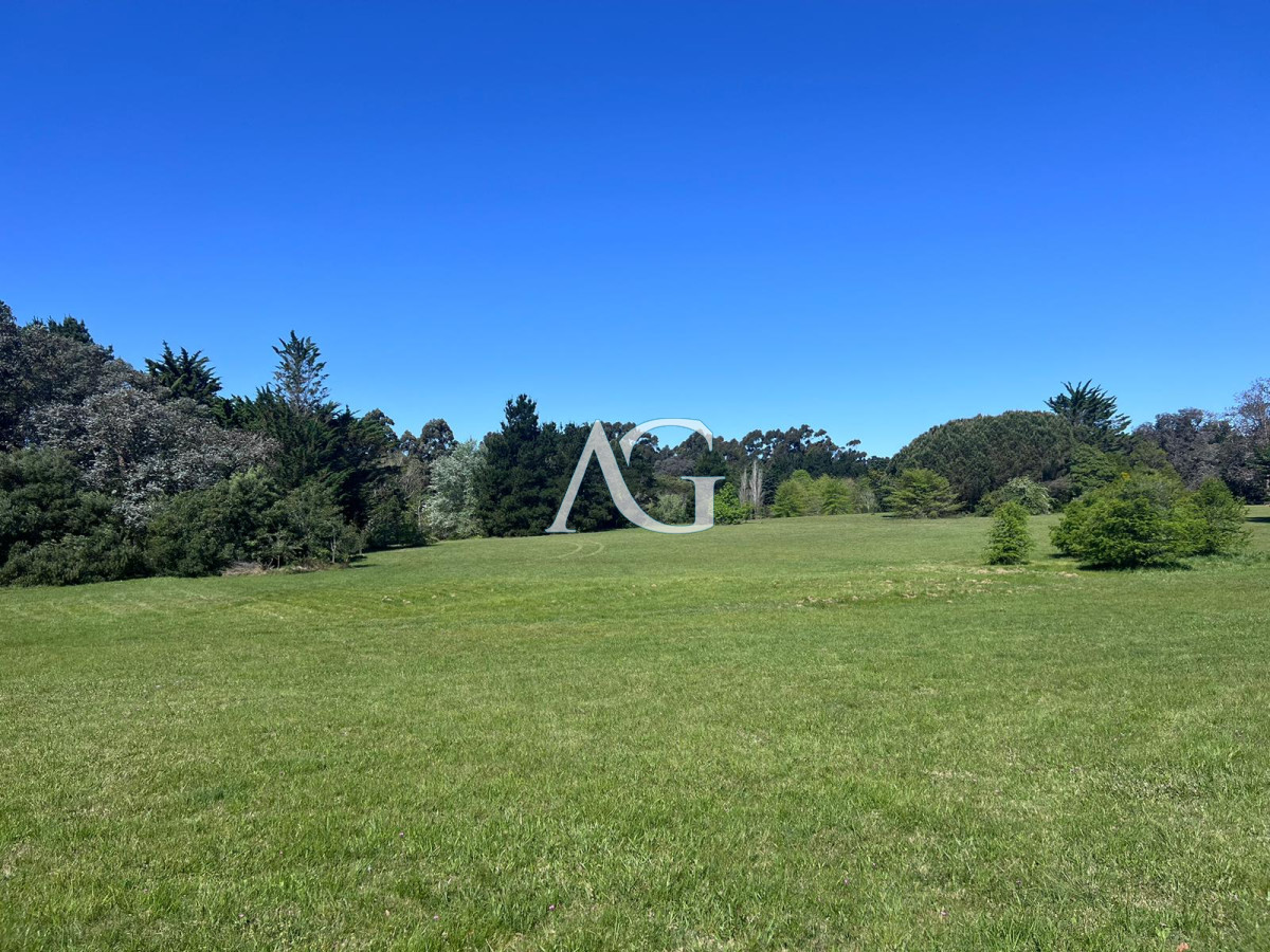 Chacra ID.297 - Chacra soñada en José Ignacio 