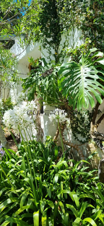 Casa en Punta Ballena, — foto 15