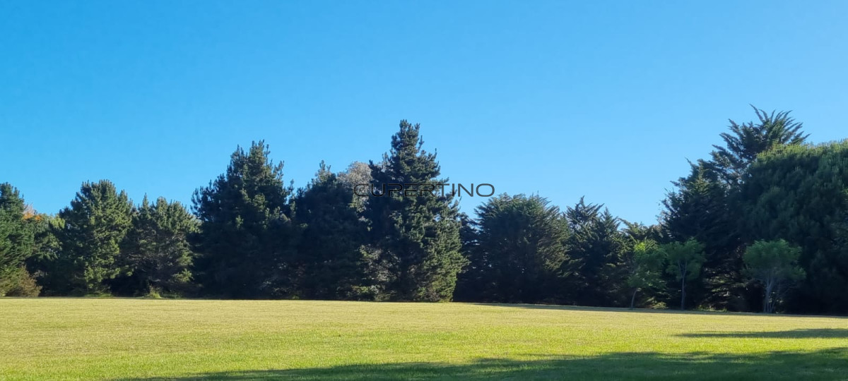 Chacra soñada en José Ignacio — foto 10
