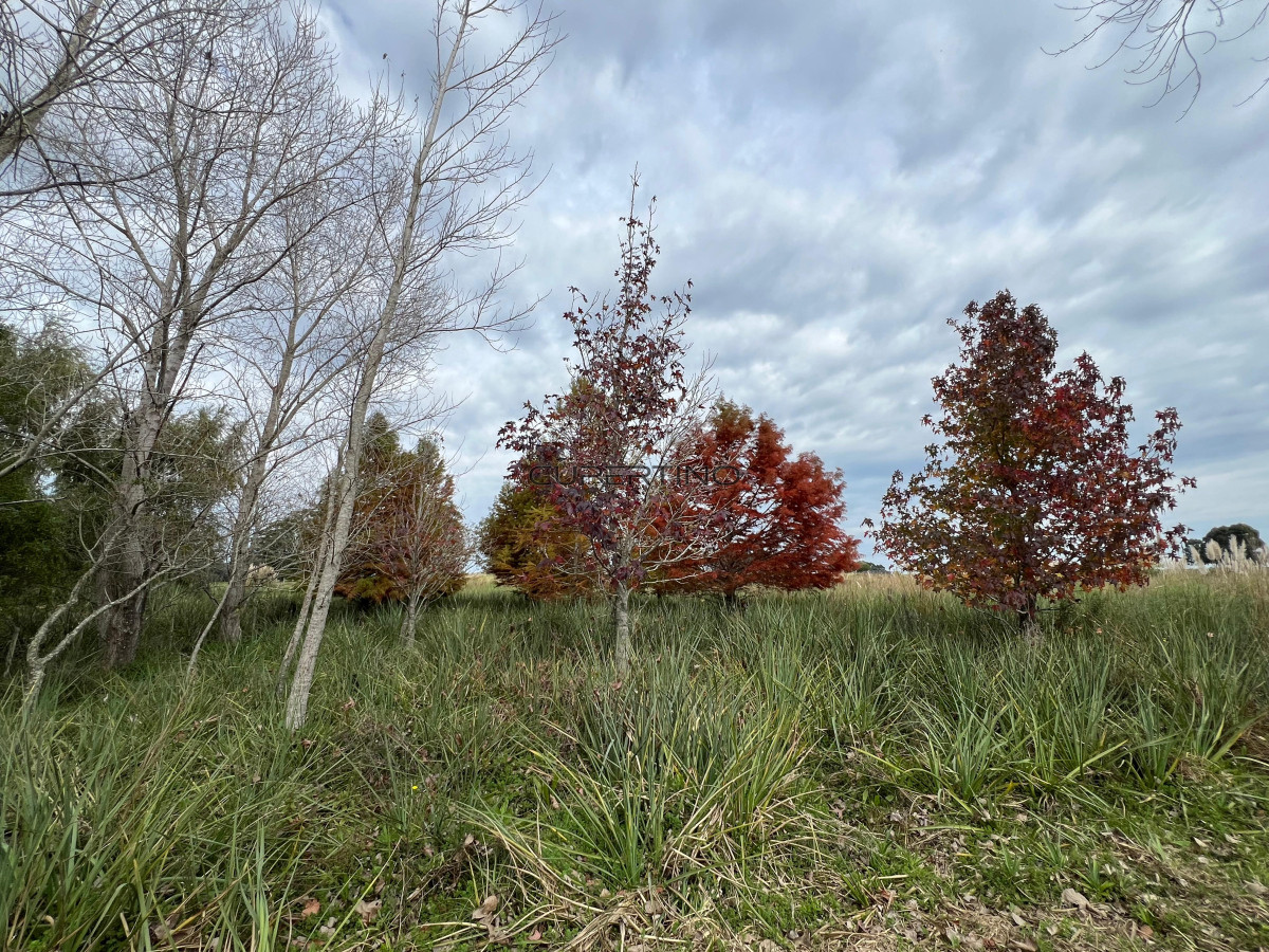  — foto 13