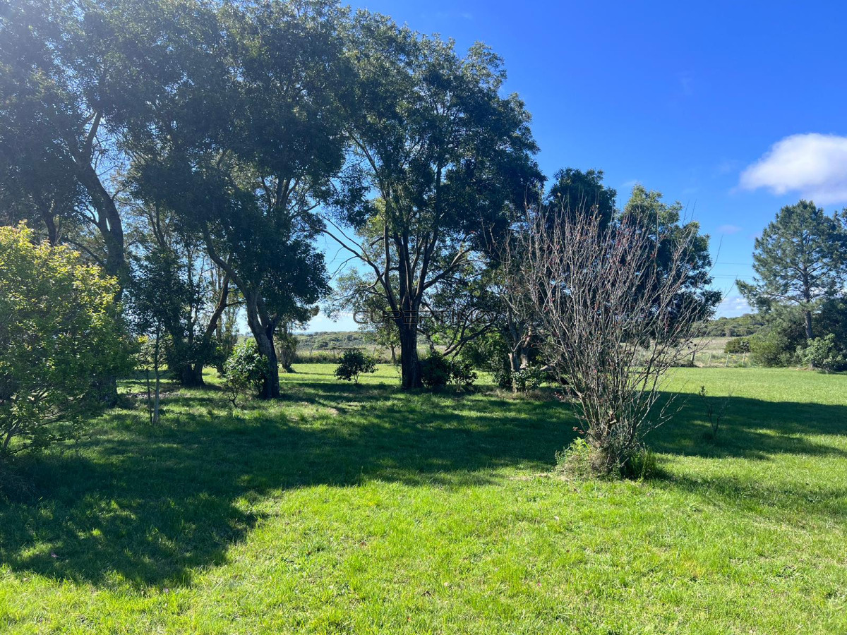 Chacra soñada en José Ignacio — foto 26