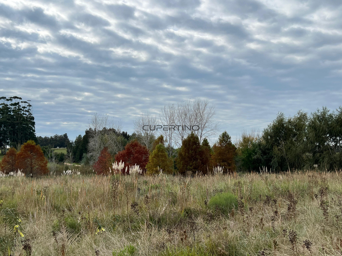  — foto 15