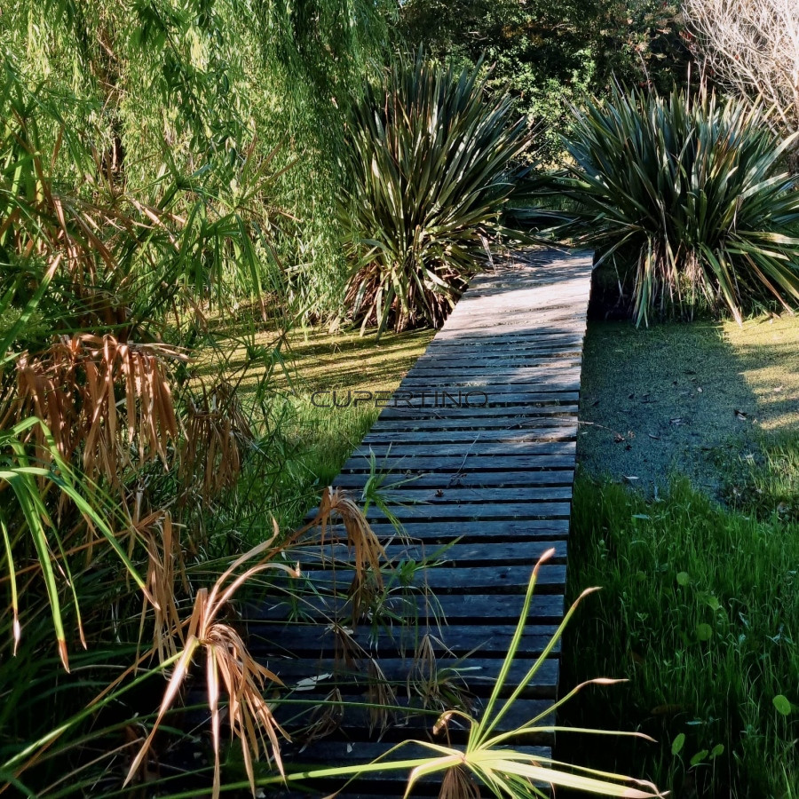 Chacra soñada en José Ignacio — foto 22
