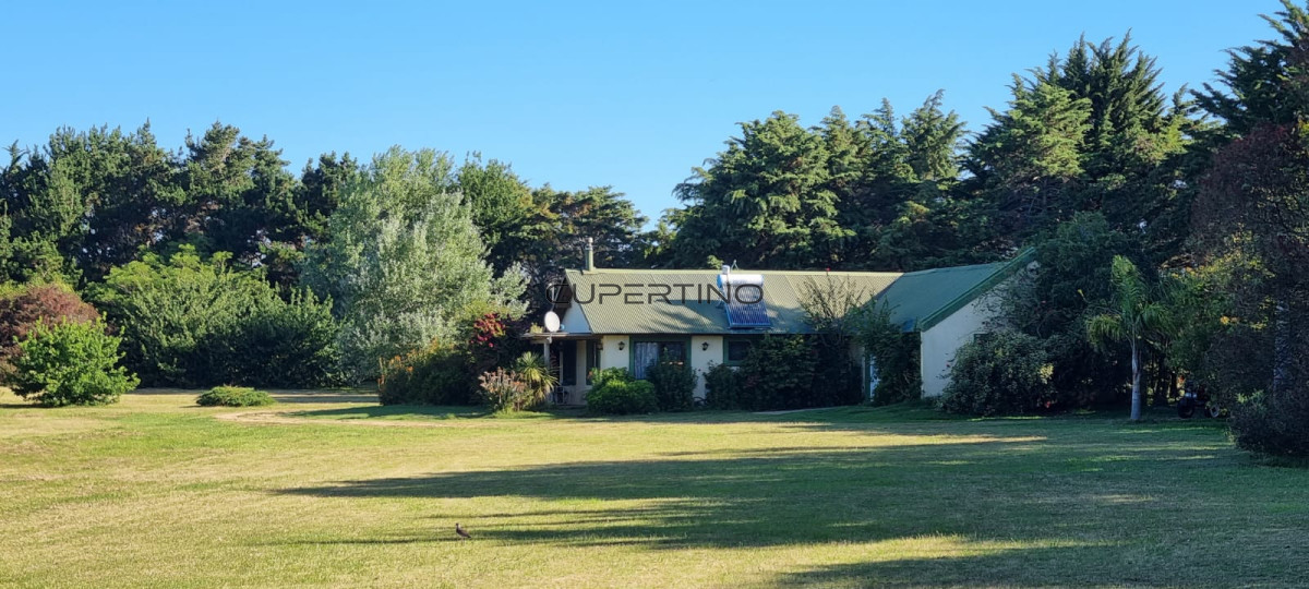 Chacra soñada en José Ignacio — foto 13