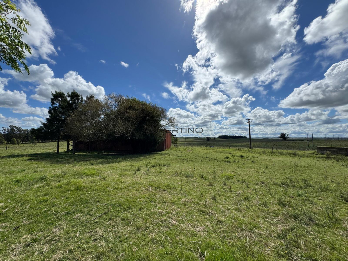 Campo en , — foto 35