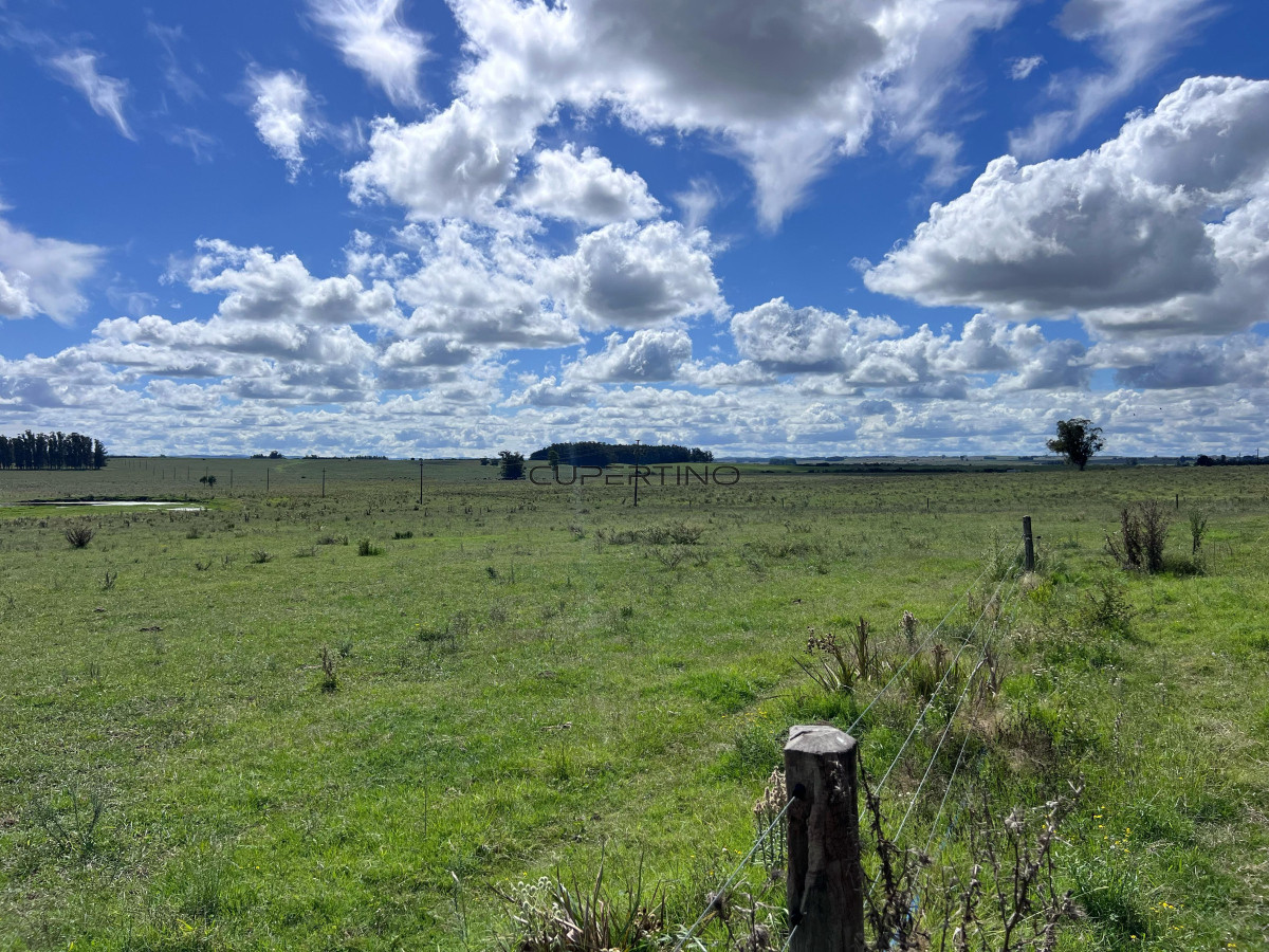 Campo en , — foto 6