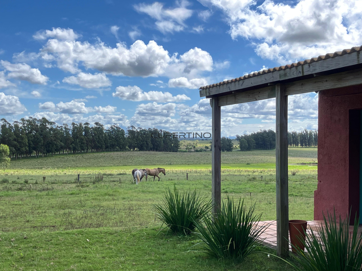 Campo en , — foto 1