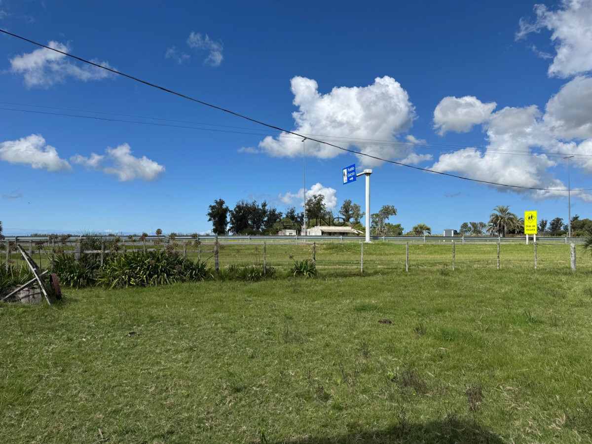 Campo en , — foto 29