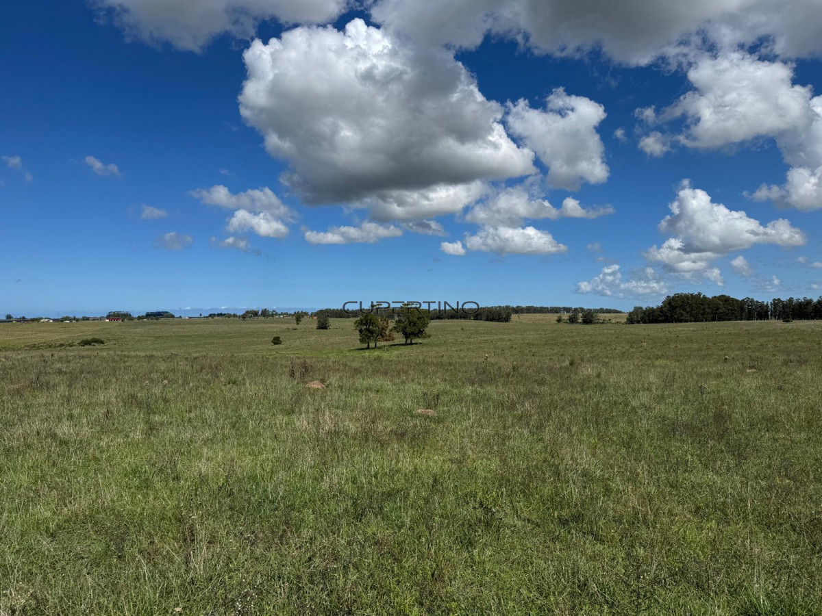 Campo en , — foto 37